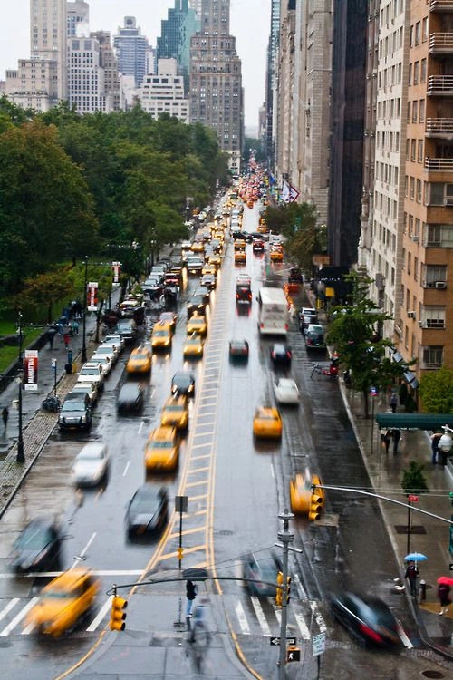 Rainy city avenue with moving traffic